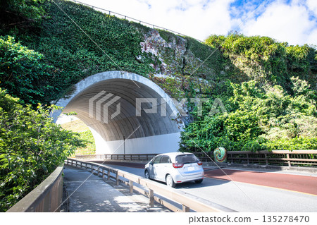 沖繩駕駛形象（新井金內大橋） 135278470