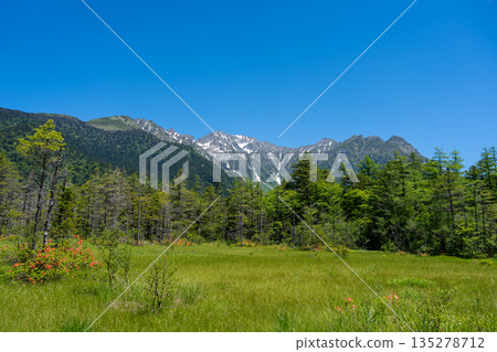 Mount Hotaka viewed from Kamikochi hiking trail in Japan Mount Hotaka viewed from Kamikochi hiking trail in Japan 135278712