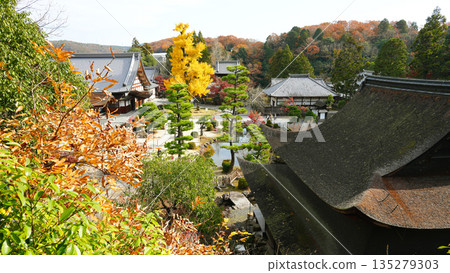 Kokeizan Eihoji Temple, Tajimi City, Gifu Prefecture 135279303