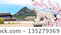 Sakura blossoming spring season. Horizontal banner with branch of blooming sakura, stone statue of mythical creature and ancient pavilion, Gyeongbokgung palace complex, Seoul, South Korea 135279369