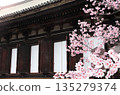 Ancient pavilion with wooden window shutters and branch of sakura with pink flowers near to Main Hall of Sanjusangendo (Rengeo-in) Buddhist Temple in Kyoto, Japan. Spring time, Cherry blossom season 135279374
