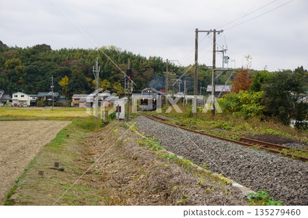 JR九州七夏星 JR九州七夏星 135279460