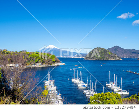 駿河灣、內浦灣和富士山（靜岡縣沼津市） 135279494