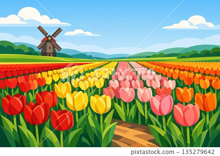 多彩的鬱金香場 135279642