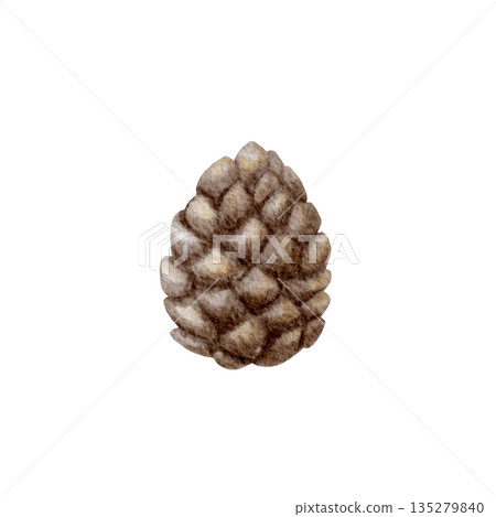 Forest Pine Cone. Watercolor Hand painted illustration isolated on a white background. Design Element for Christmas prints and decorations. Forest Pine Cone. Watercolor Hand painted illustration isolated on a white background. Design Element for Christmas prints and decorations. 135279840