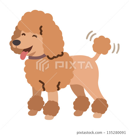 Illustration of a Happy Poodle Dog Illustration of a Happy Poodle Dog 135280091