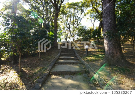 眺望通往宇須川山的階梯 135280267