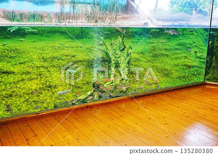 Shimane Prefectural Lake Shinji Nature Museum Gobius Scenery Shimane Prefectural Lake Shinji Nature Museum Gobius Scenery 135280380