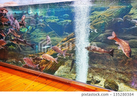 島根縣宍道湖自然博物館戈壁風景 島根縣宍道湖自然博物館戈壁風景 135280384