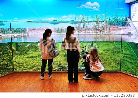 島根縣宍道湖自然博物館戈壁風景 島根縣宍道湖自然博物館戈壁風景 135280388