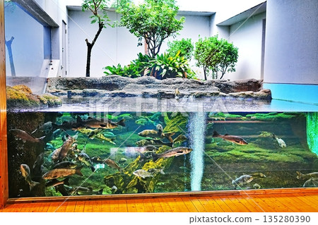 島根縣宍道湖自然博物館戈壁風景 135280390