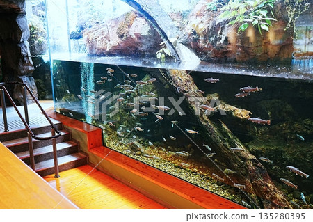 島根縣宍道湖自然博物館戈壁風景 135280395