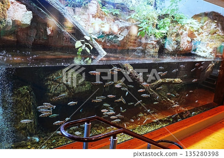 島根縣宍道湖自然博物館戈壁風景 島根縣宍道湖自然博物館戈壁風景 135280398
