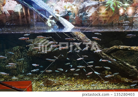 島根縣宍道湖自然博物館戈壁風景 135280403