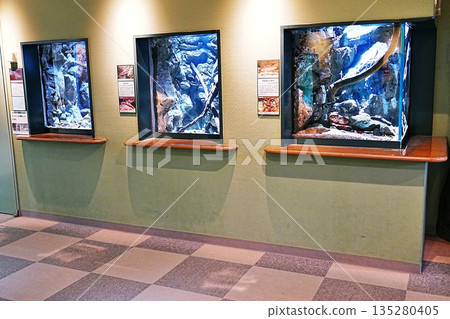 Shimane Prefectural Lake Shinji Nature Museum Gobius Scenery 135280405