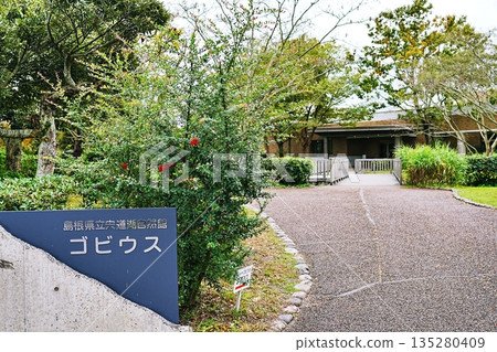 Shimane Prefectural Lake Shinji Nature Museum Gobius Scenery Shimane Prefectural Lake Shinji Nature Museum Gobius Scenery 135280409