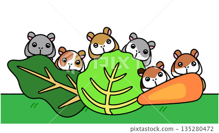 一幅可愛的插圖，描繪了倉鼠從蔬菜後面探出頭來。 135280472
