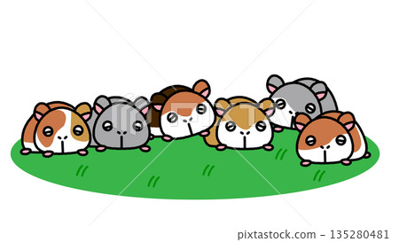 一幅可愛的插圖，描繪了一群倉鼠並排躺在草地上。 135280481