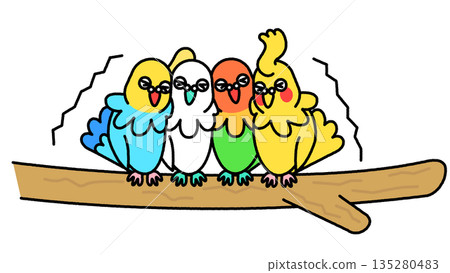 A comical illustration of four surprised parakeets swinging on a branch A comical illustration of four surprised parakeets swinging on a branch 135280483