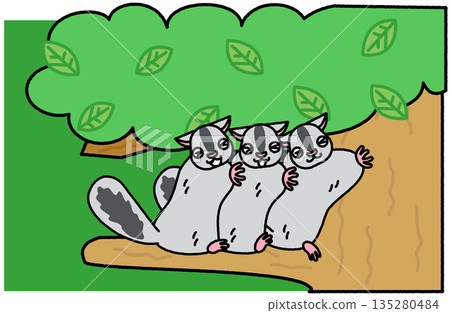 一幅可愛的插圖，描繪了三隻飛鼠在樹上互相依偎在一起。 135280484