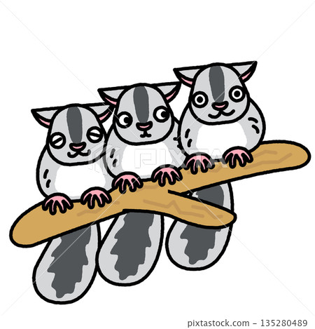 一幅可愛的插圖，描繪了三隻飛鼠並排棲息在樹枝上。 135280489