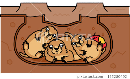 Cute illustration of a family of marmots gathering in an underground burrow 135280492