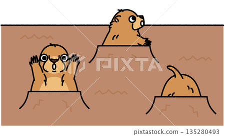 A cute illustration of a marmot peeking out of his burrow to look around A cute illustration of a marmot peeking out of his burrow to look around 135280493