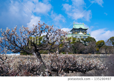 晴朗日子裡的大阪城梅樹林(2022年)1 晴朗日子裡的大阪城梅樹林(2022年)1 135280497