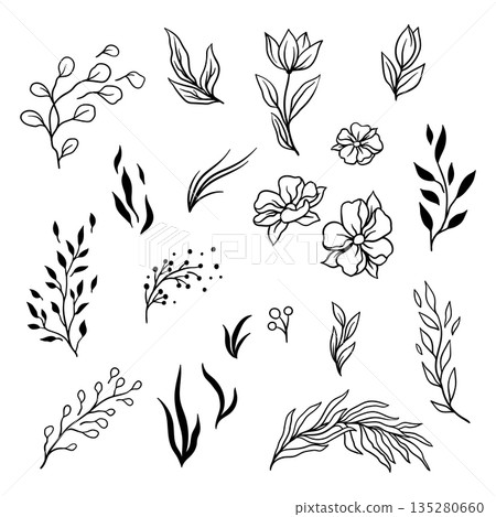 Set of twigs, flowers and leaves. Floral elements for wedding decorations. Set of twigs, flowers and leaves. Floral elements for wedding decorations. 135280660