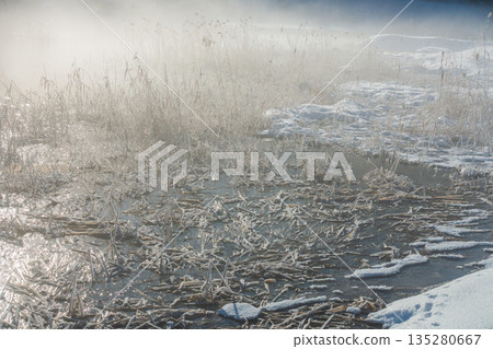 冰點以下的美景 [中津名湖] 135280667