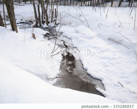 A stream with a frozen surface 135280837