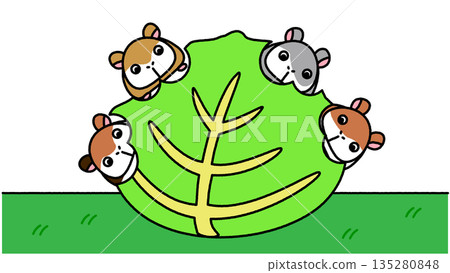 一幅可愛的插圖，描繪了一群倉鼠圍著一片大葉子。 135280848