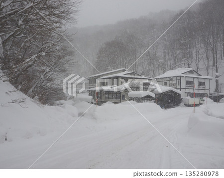 Snowy roads in a heavy snow area where visibility is blurred by snowfall - A harsh winter scene during a cold wave Snowy roads in a heavy snow area where visibility is blurred by snowfall - A harsh winter scene during a cold wave 135280978