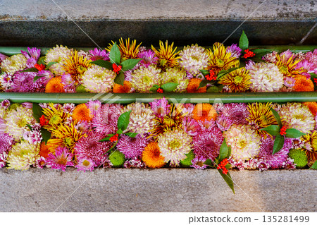 Flower water fountain at Minase Shrine, Kikusui 135281499