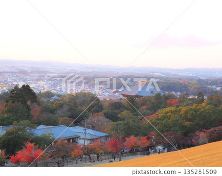 奈良縣,從若草山眺望奈良市的秋葉傍晚景色,11月 奈良縣,從若草山眺望奈良市的秋葉傍晚景色,11月 135281509