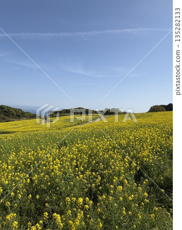 與強姦領域的風景 與強姦領域的風景 135282133