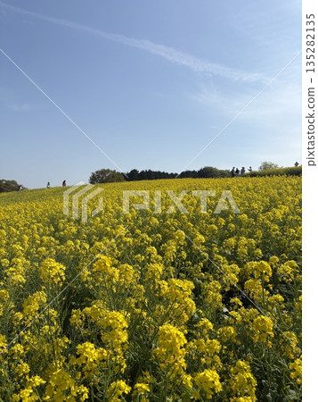 與強姦領域的風景 與強姦領域的風景 135282135