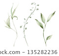 Delicate green leaves and branches. Isolated watercolor floral clipart set. Hand painted botanical illustration for spring designs, wedding stationery, greeting cards, invitations, eco decor. 135282236