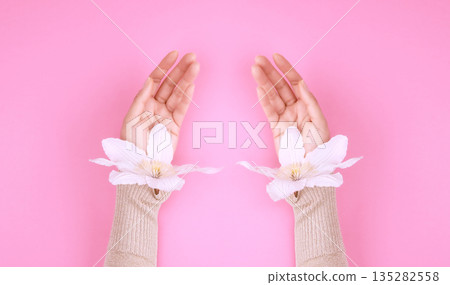 Female hands with delicate white flowers on a pink background Female hands with delicate white flowers on a pink background 135282558