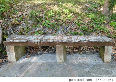 Weathered Wooden Bench in Serene Garden Setting 135282765