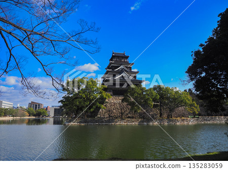 Hiroshimajo Castle 135283059