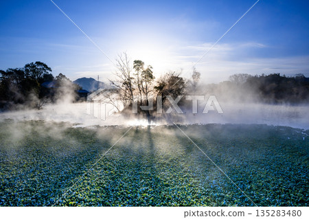 Morning sun shining on a floating island in the morning mist Morning sun shining on a floating island in the morning mist 135283480