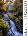 Waterfalls and autumn leaves in Kikuchi Valley in autumn 135283488