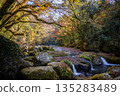 Kikuchi Valley dyed in autumn leaves 135283489