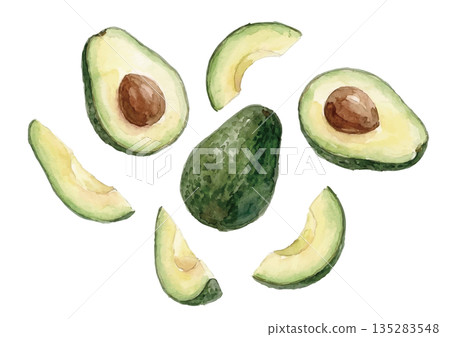 Watercolor style avocado illustration 135283548