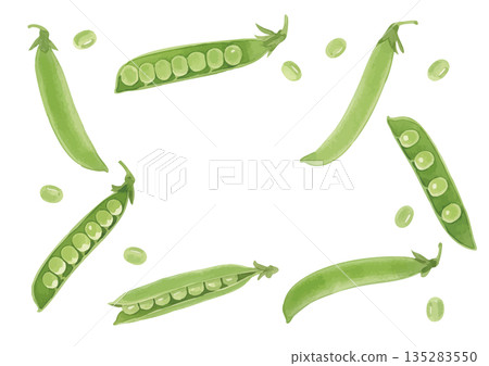 Watercolor style pea illustration Watercolor style pea illustration 135283550