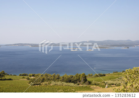 Vineyards on Peljesac peninsula overlooking Korcula island and archipelagoVineyards on Peljesac peninsula overlooking Korcula island and archipelago Vineyards on Peljesac peninsula overlooking Korcula island and archipelagoVineyards on Peljesac peninsula overlooking Korcula island and archipelago 135283612