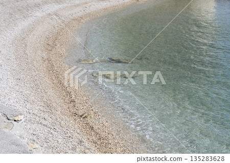 Pebble Beach in Front of Emil Antica Street in Selce Pebble Beach in Front of Emil Antica Street in Selce 135283628