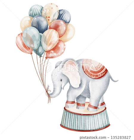 Cute elephant stands on podium with balloons. Watercolor cartoon illustration for children. Circus animal, nursery art, birthday card design. Isolated baby elephant clipart. 135283827