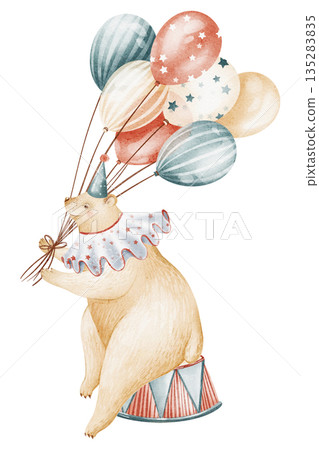 Circus animal illustration of a bear sitting on a podium and holding balloons. Watercolor hand painted drawing in cartoon style. Isolated art for children, nursery, invitation, card, birthday, poster. Circus animal illustration of a bear sitting on a podium and holding balloons. Watercolor hand painted drawing in cartoon style. Isolated art for children, nursery, invitation, card, birthday, poster. 135283835